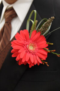 BRIDESMAIDS BOUQUETS & BUTTONHOLES